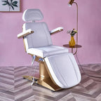 Beauty Salon 3 or 4 Motor Metal Base Beauty Bed with Manual and Remote Control